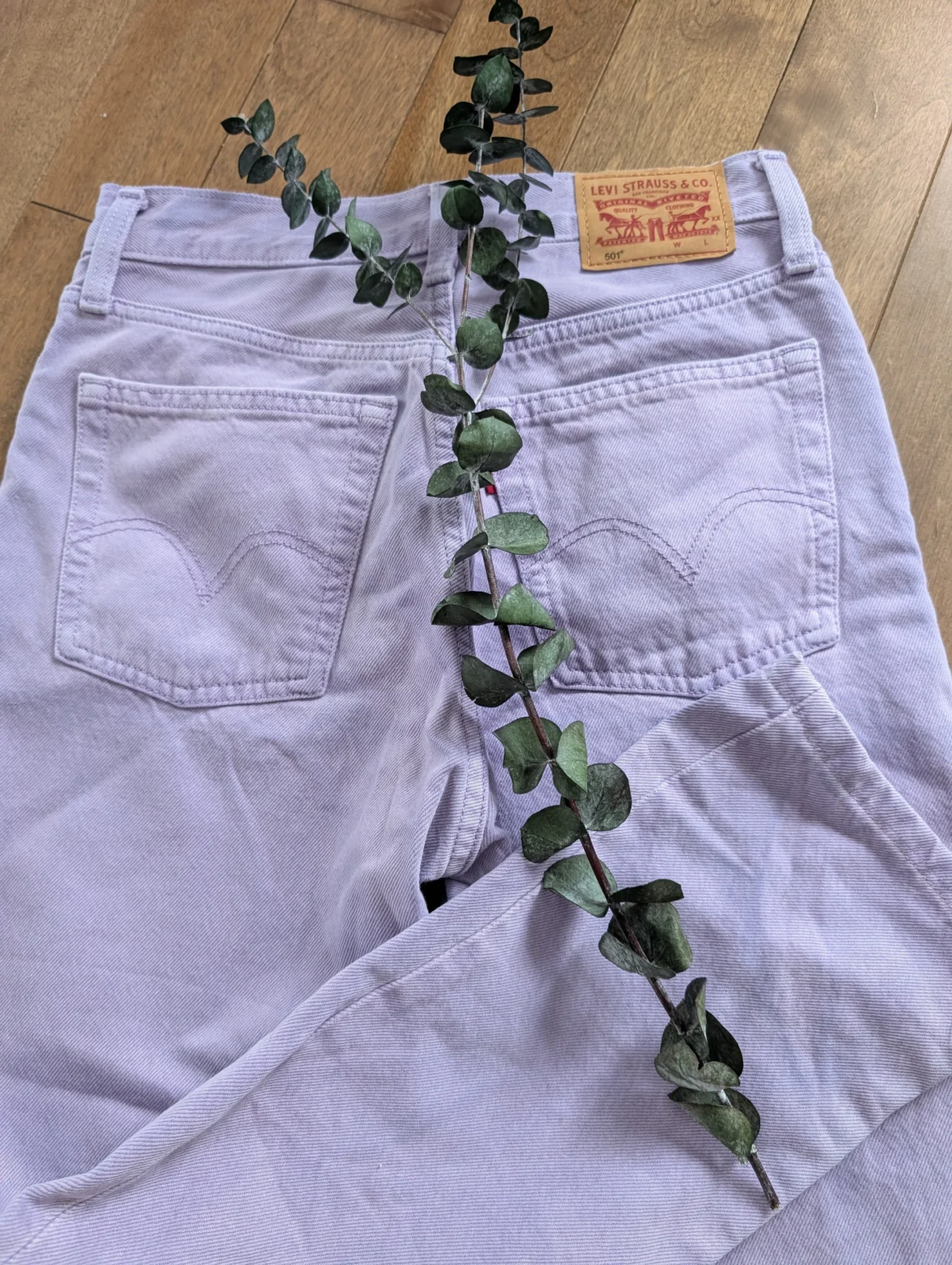Featured image for Jeans Lilas Levis