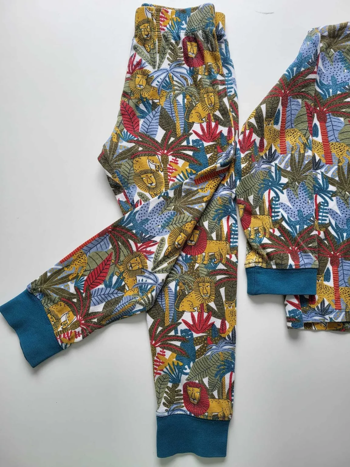 Image for 🌴Pyjama Jungle