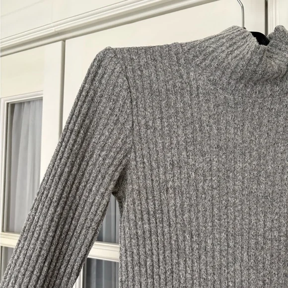 Image for Wilfred Free high neck mini dress by Aritzia
