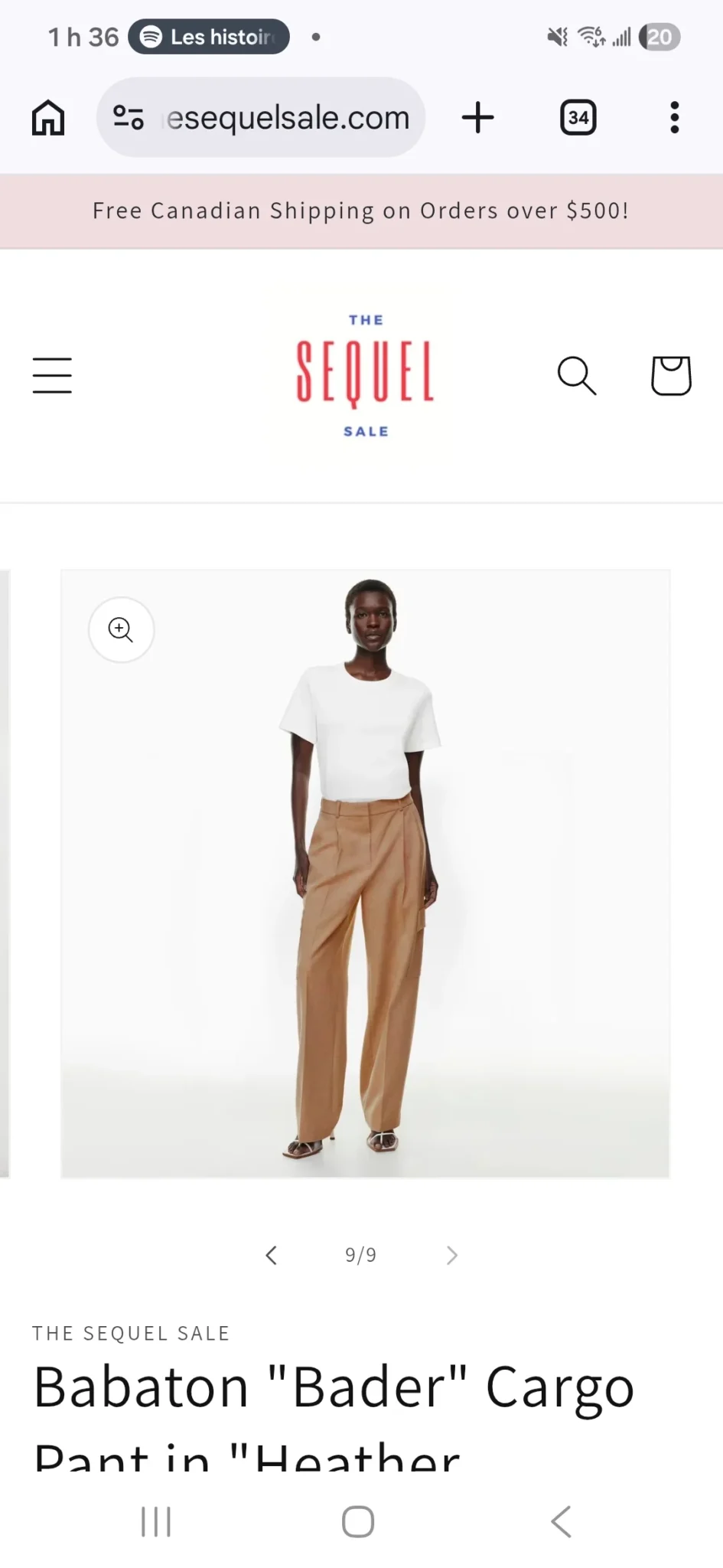 Featured image for New Aritzia "Bader" trousers
