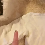 Thumbnail for Chandail coton ouaté « Winnie l’ourson » bébé unisexe 0-6