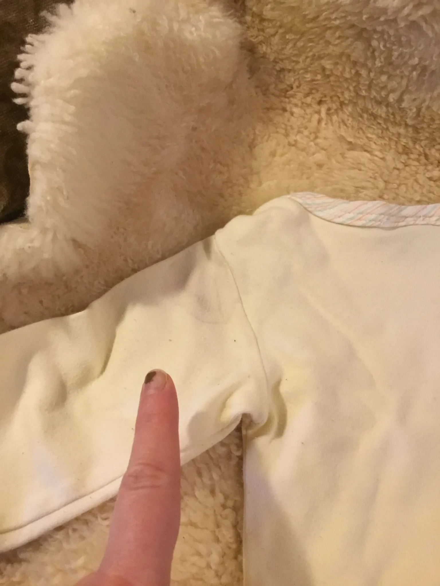 Image for Chandail coton ouaté « Winnie l’ourson » bébé unisexe 0-6