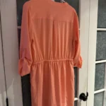 Thumbnail for Dynamite peach dress