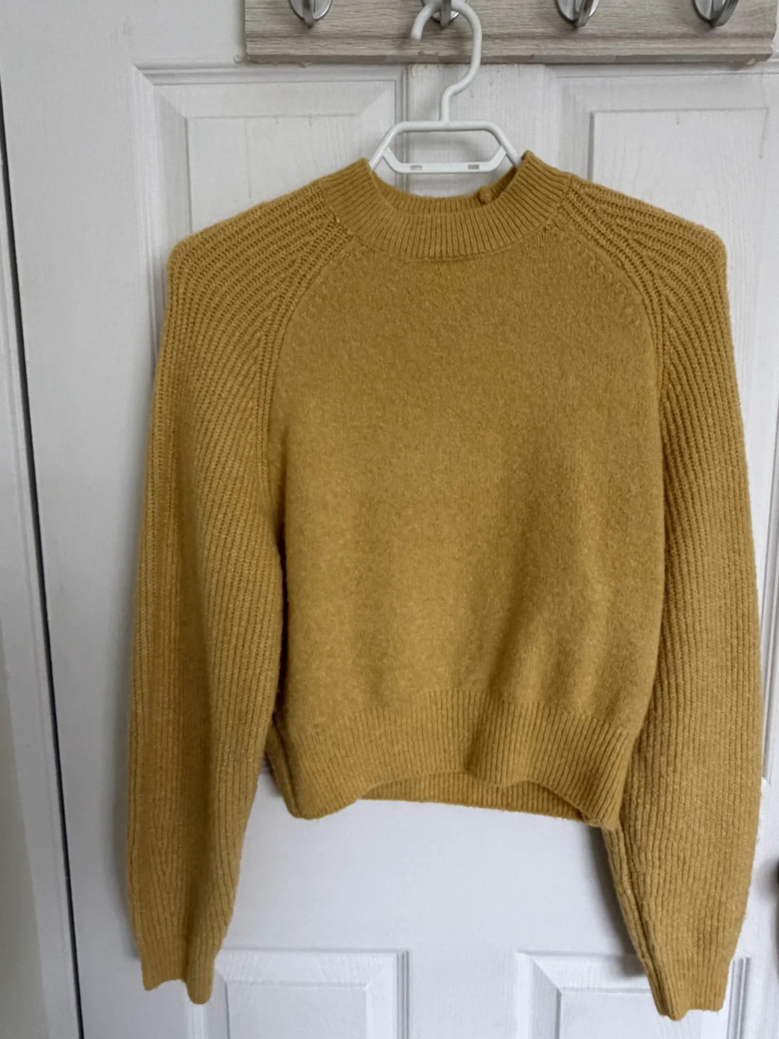 Featured image for Mango jumper