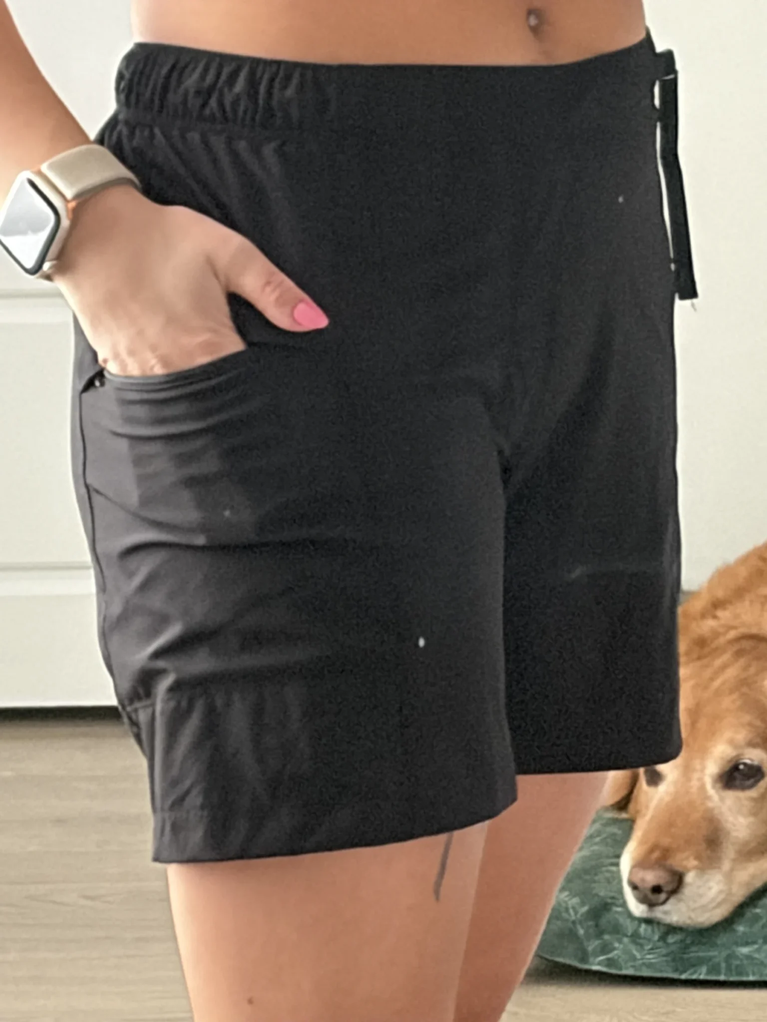 Image for Short sport
