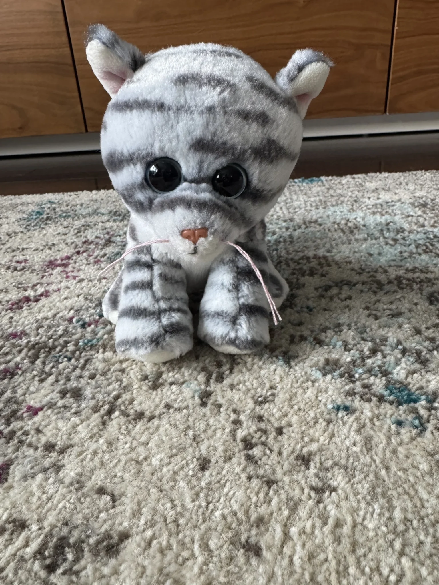 Featured image for Toutout TY