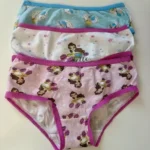 Featured thumbnail for 3T Princess panties