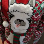 Thumbnail for Chandail manches longues Noël