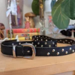Featured thumbnail for Ceinture à studs
