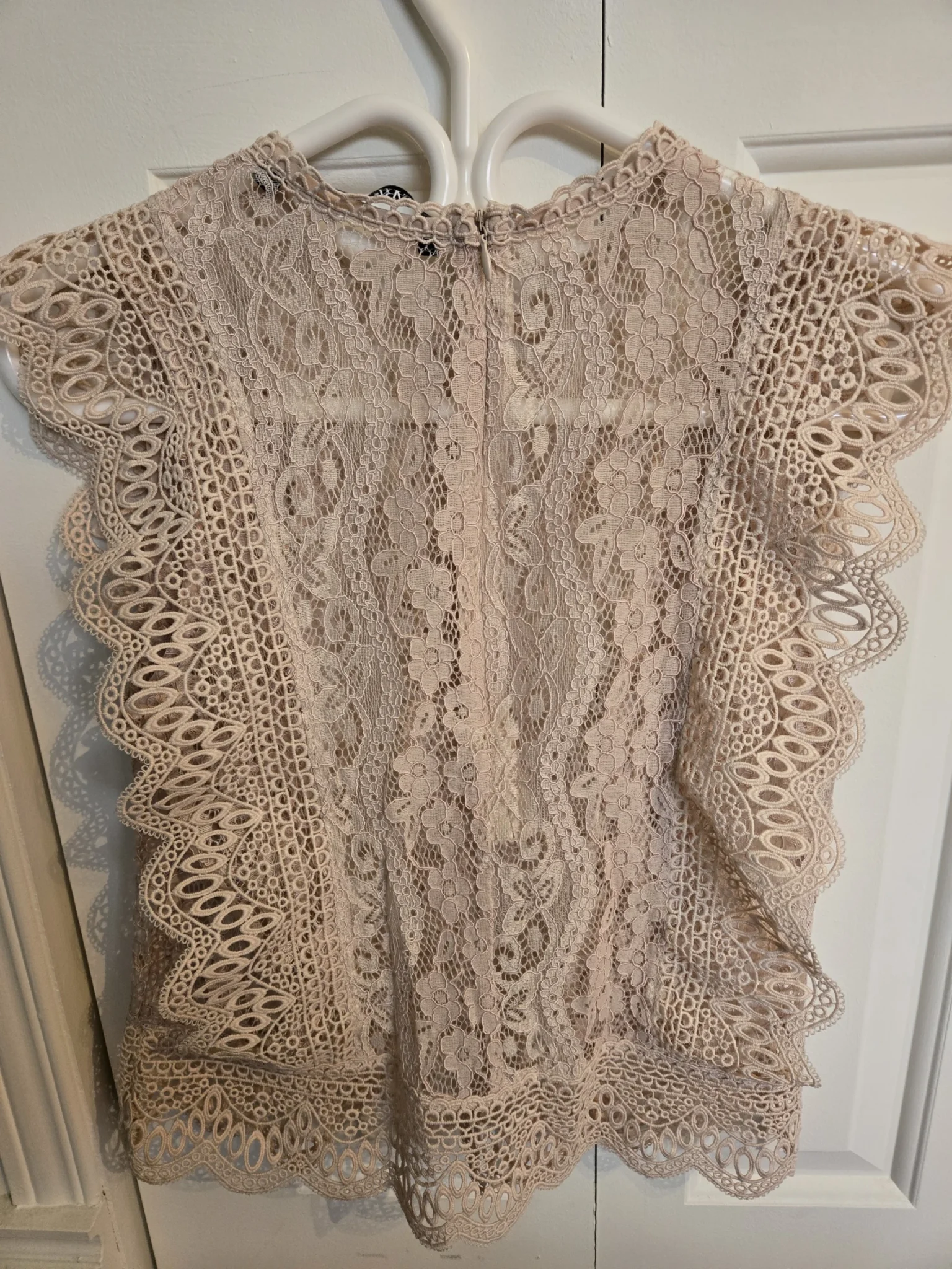 Image for Can pale brose top