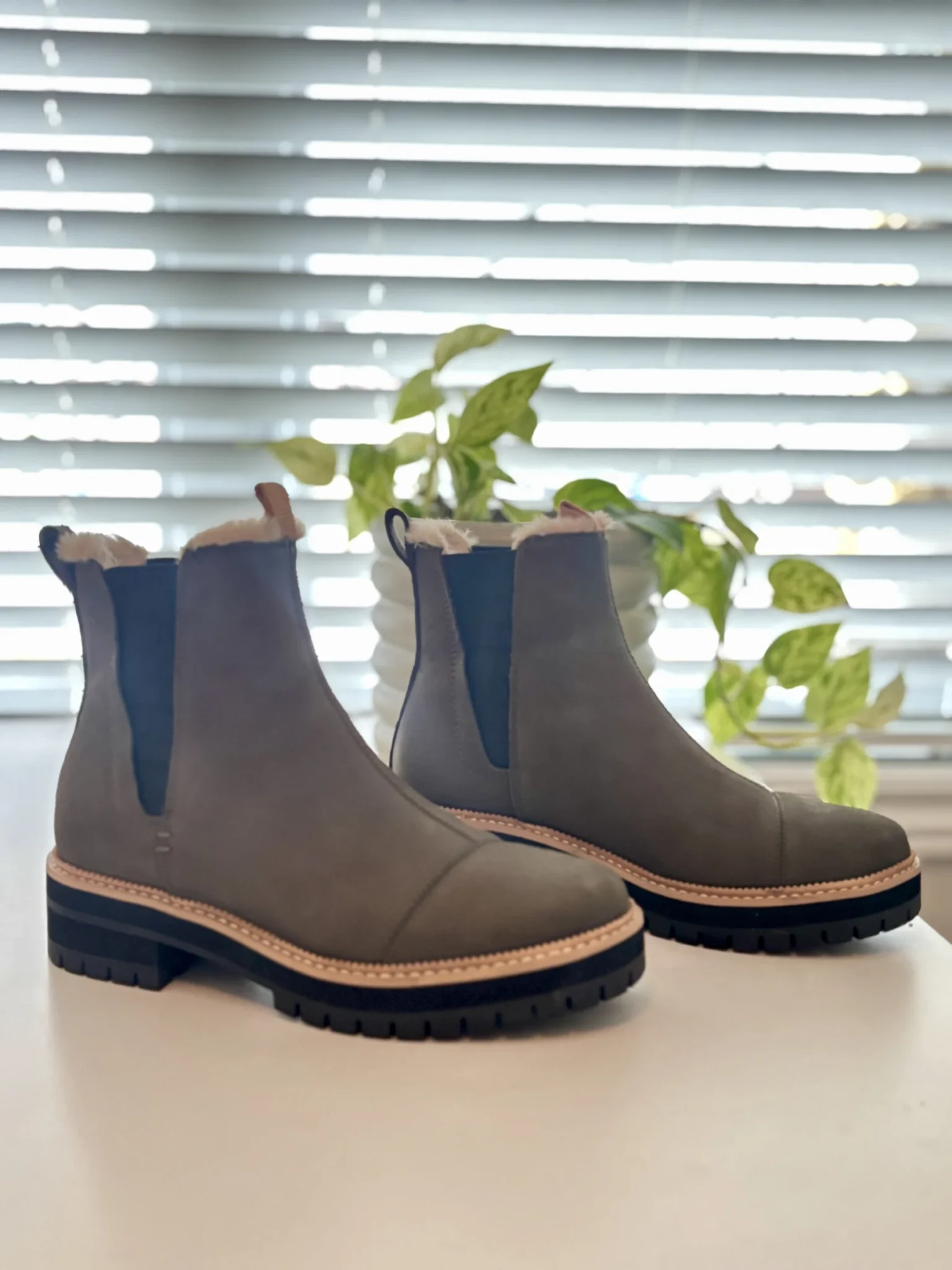 Featured image for TOMS - Bottillons en cuir doublés
