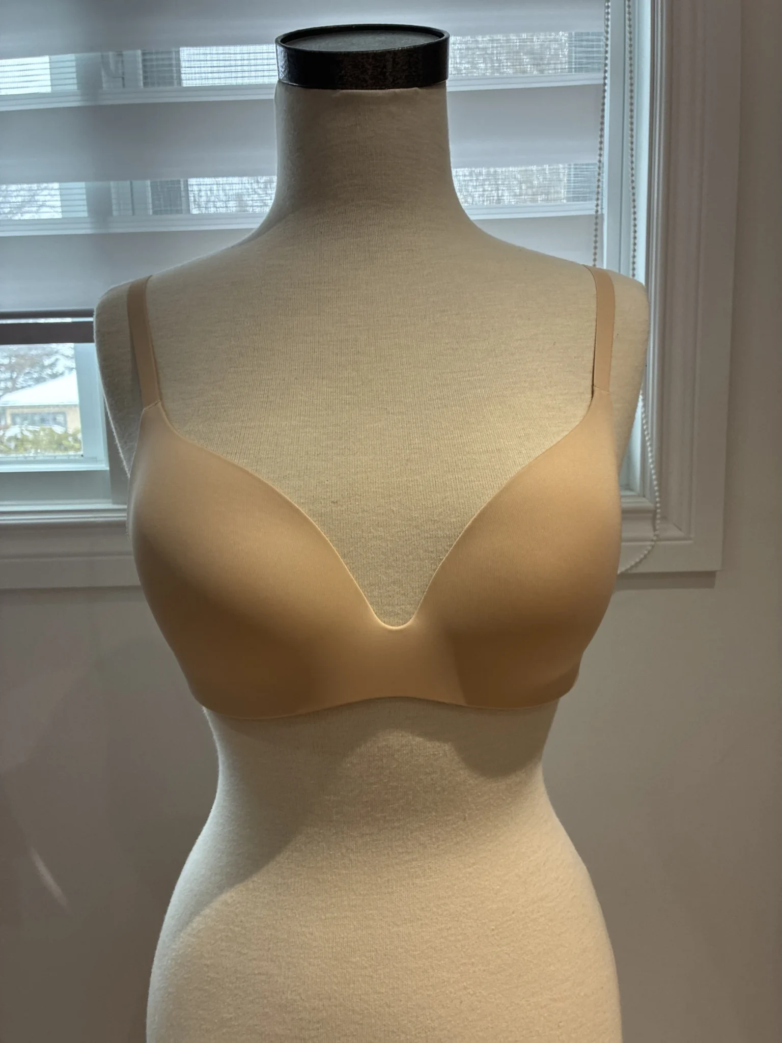 Featured image for Brassière
