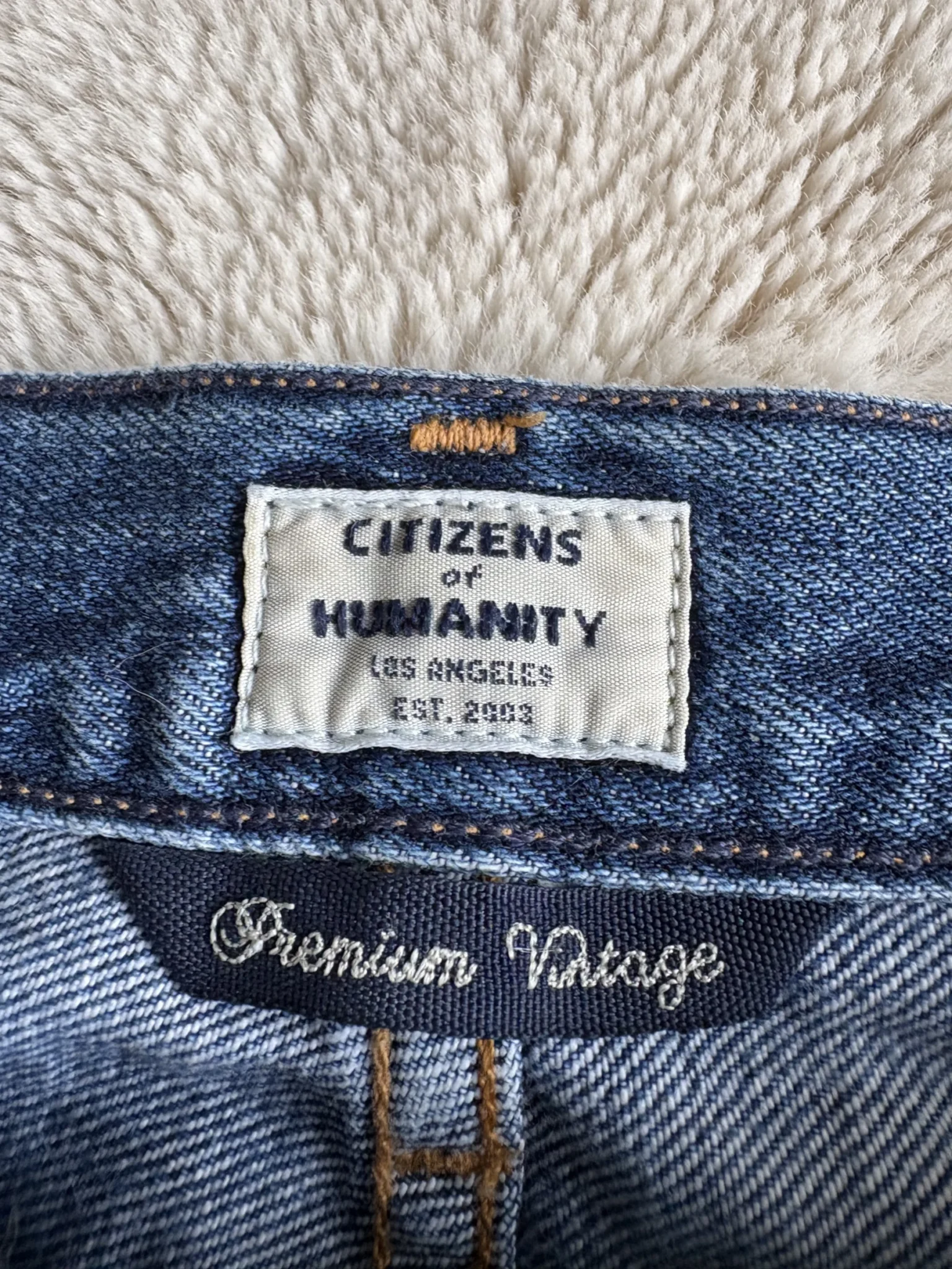 Featured image for Citizens of Humanity