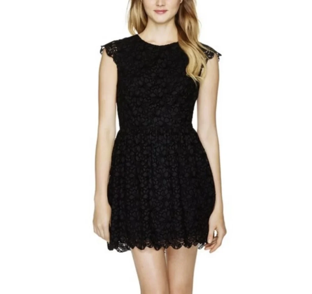 Featured image for Aritzia lace dress