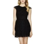 Featured thumbnail for Aritzia lace dress