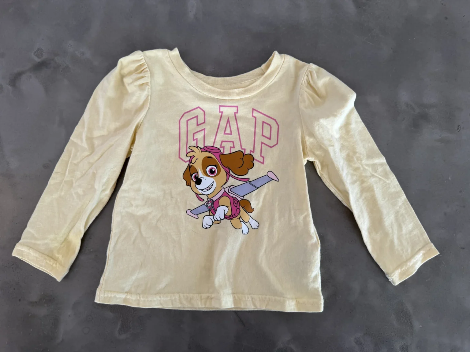 Image for Gap Pat Patrouille jersey 18-24M