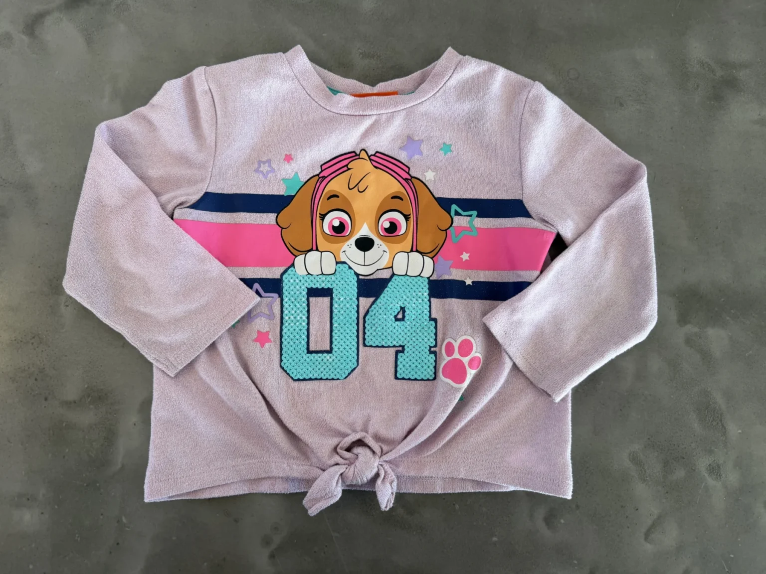 Featured image for Pat Patrouille 2T jumper