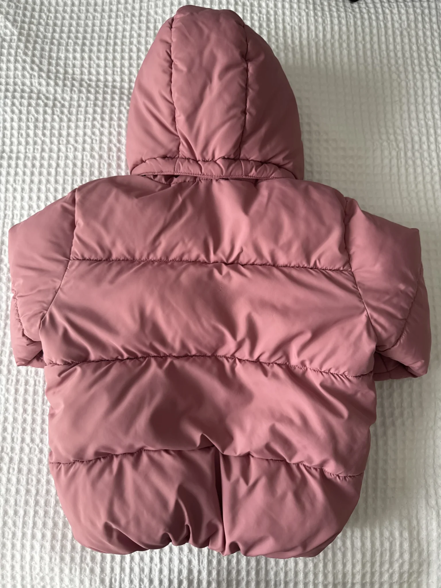 Image for Manteau mi saison enfant fille