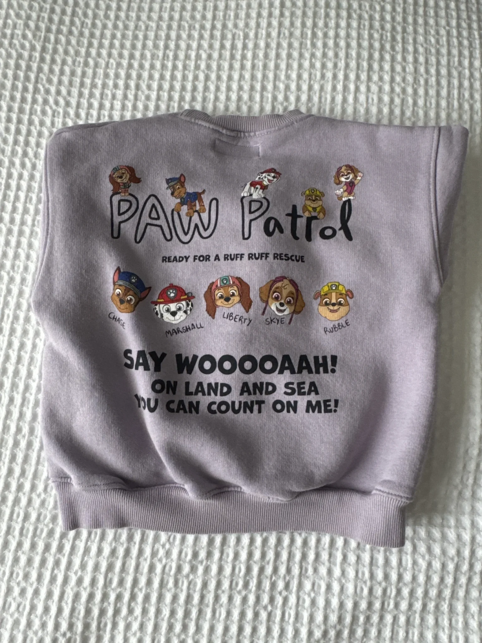 Image for Cotton wool paw patrol