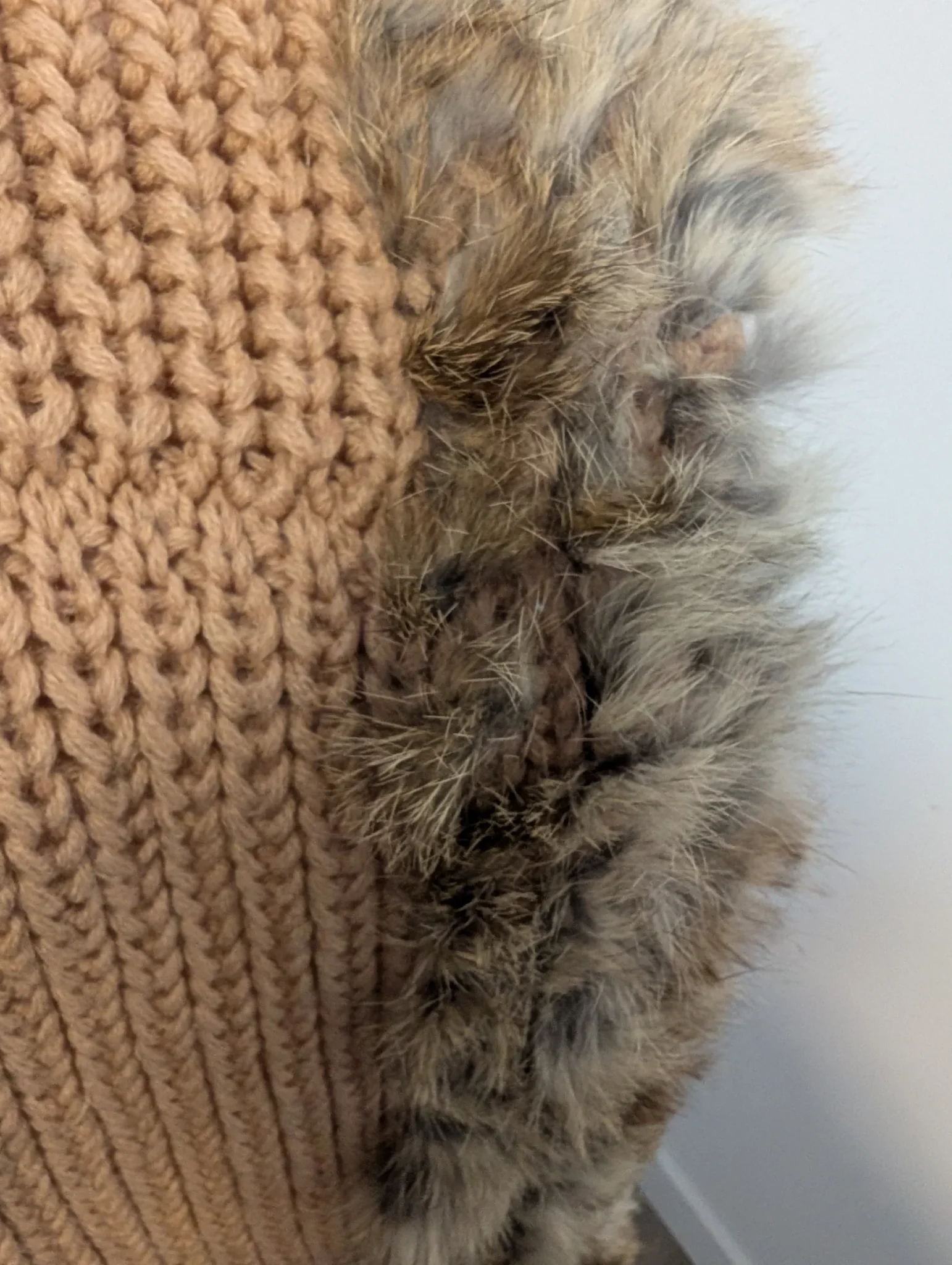 Image for Rudsak/Foulard Infini fourrure de Lapin