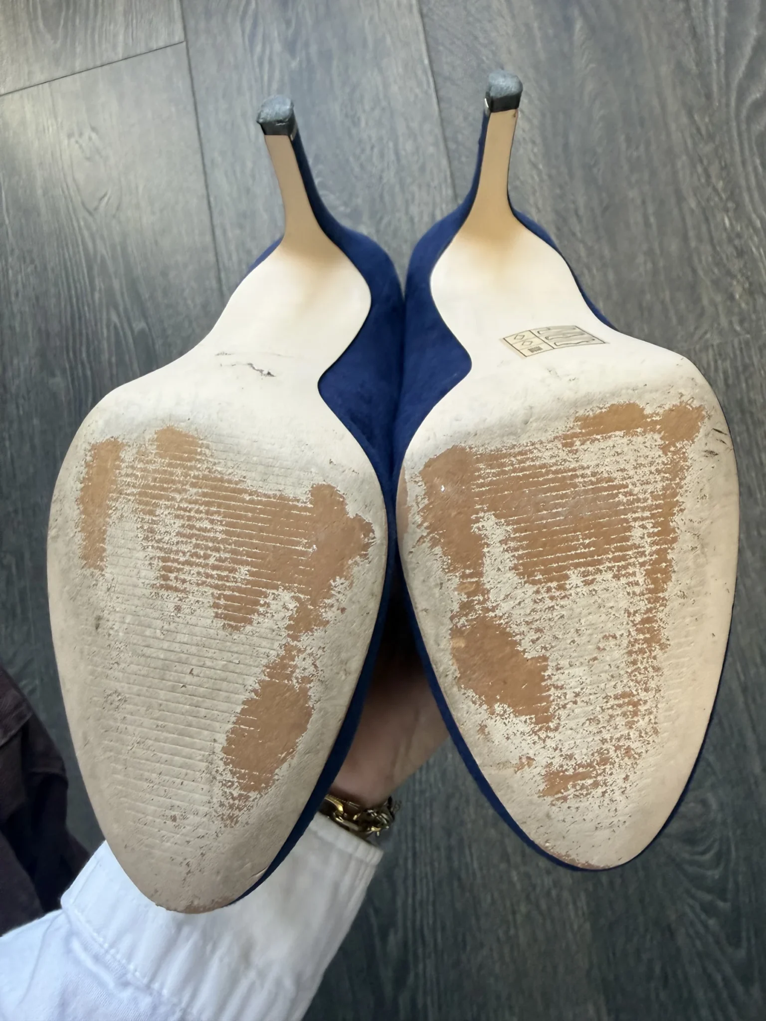Image for Talon haut bleu