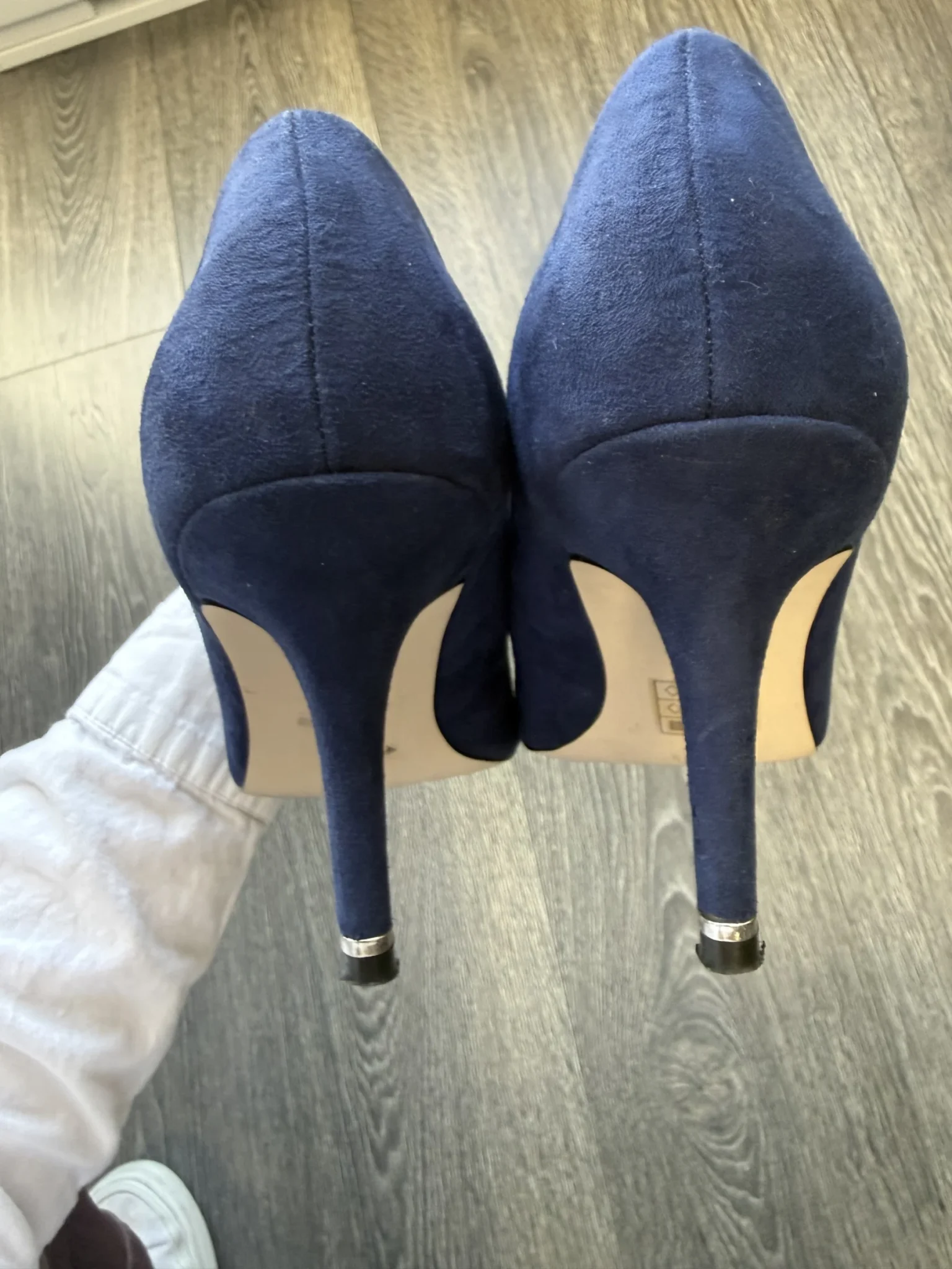 Image for Talon haut bleu