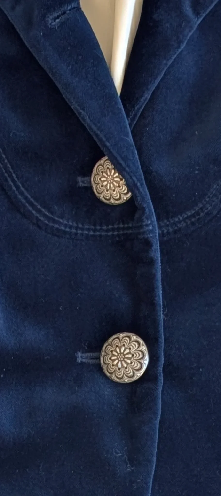 Image for Velvet jacket