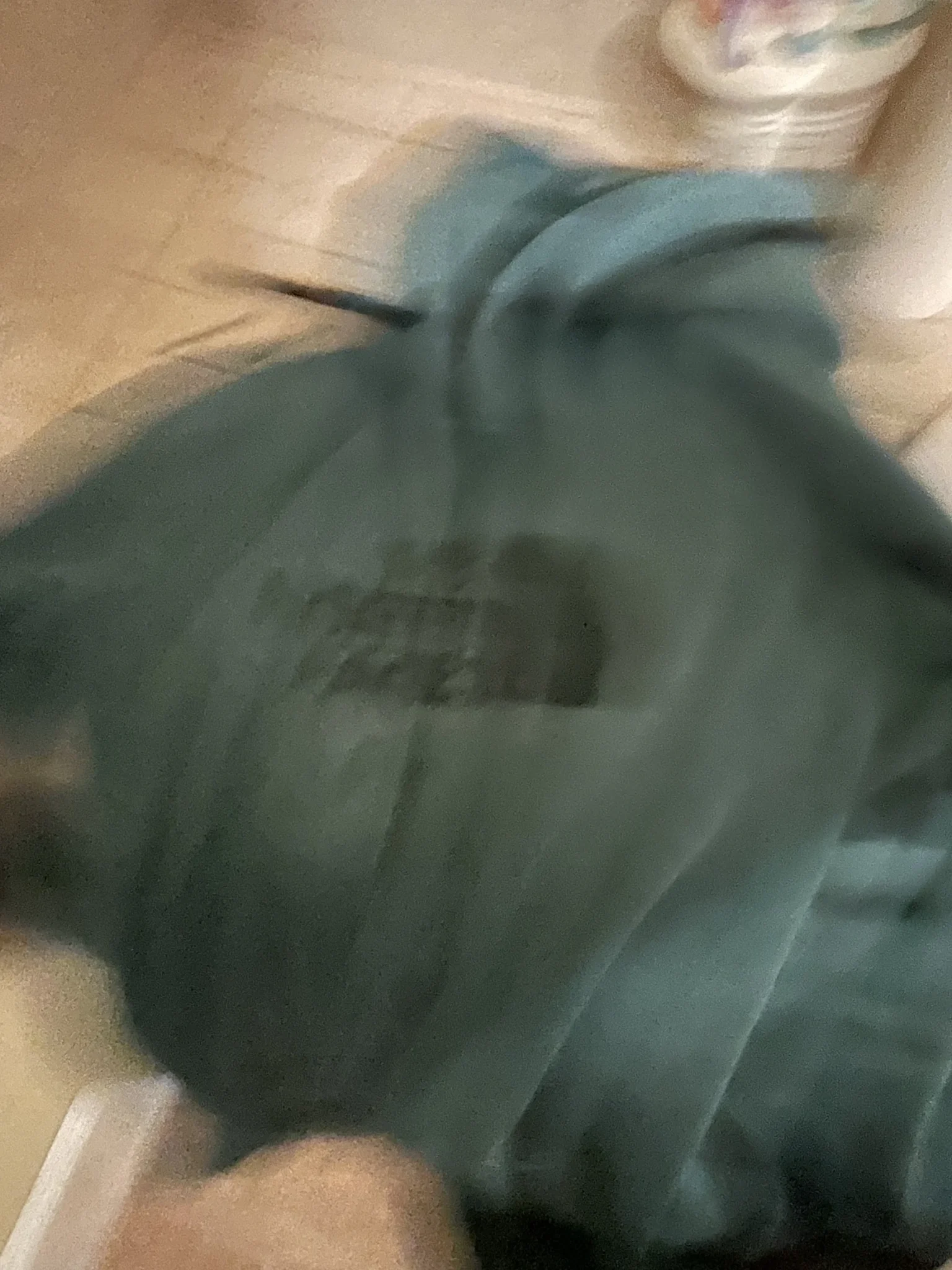 Image for Veste north face