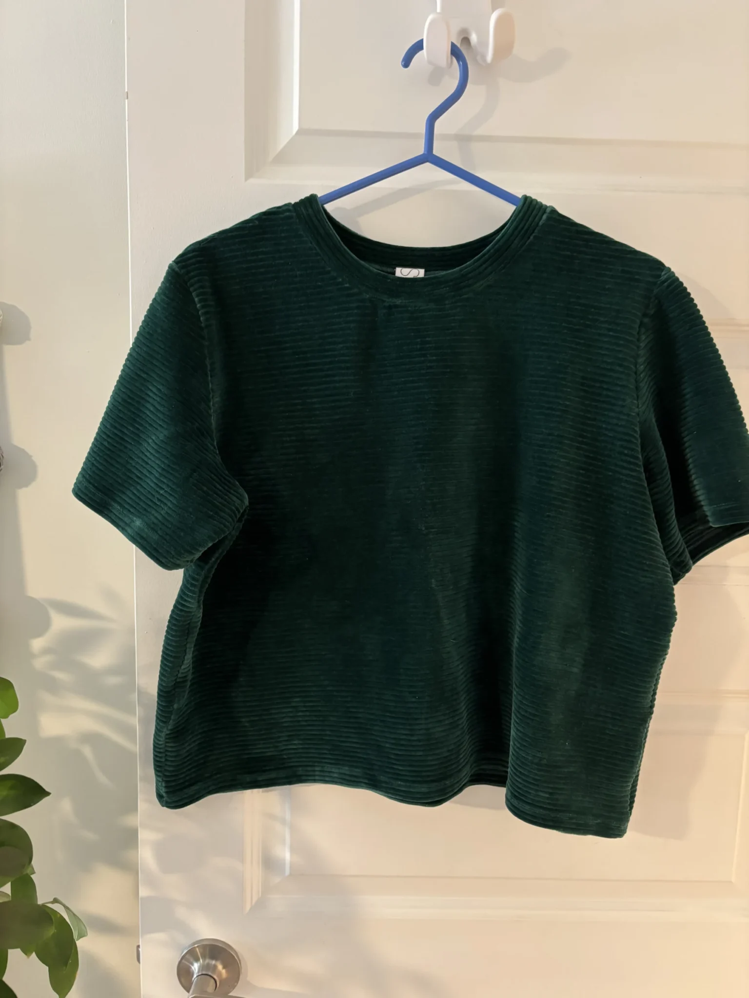 Image for MAS crop T-shirt