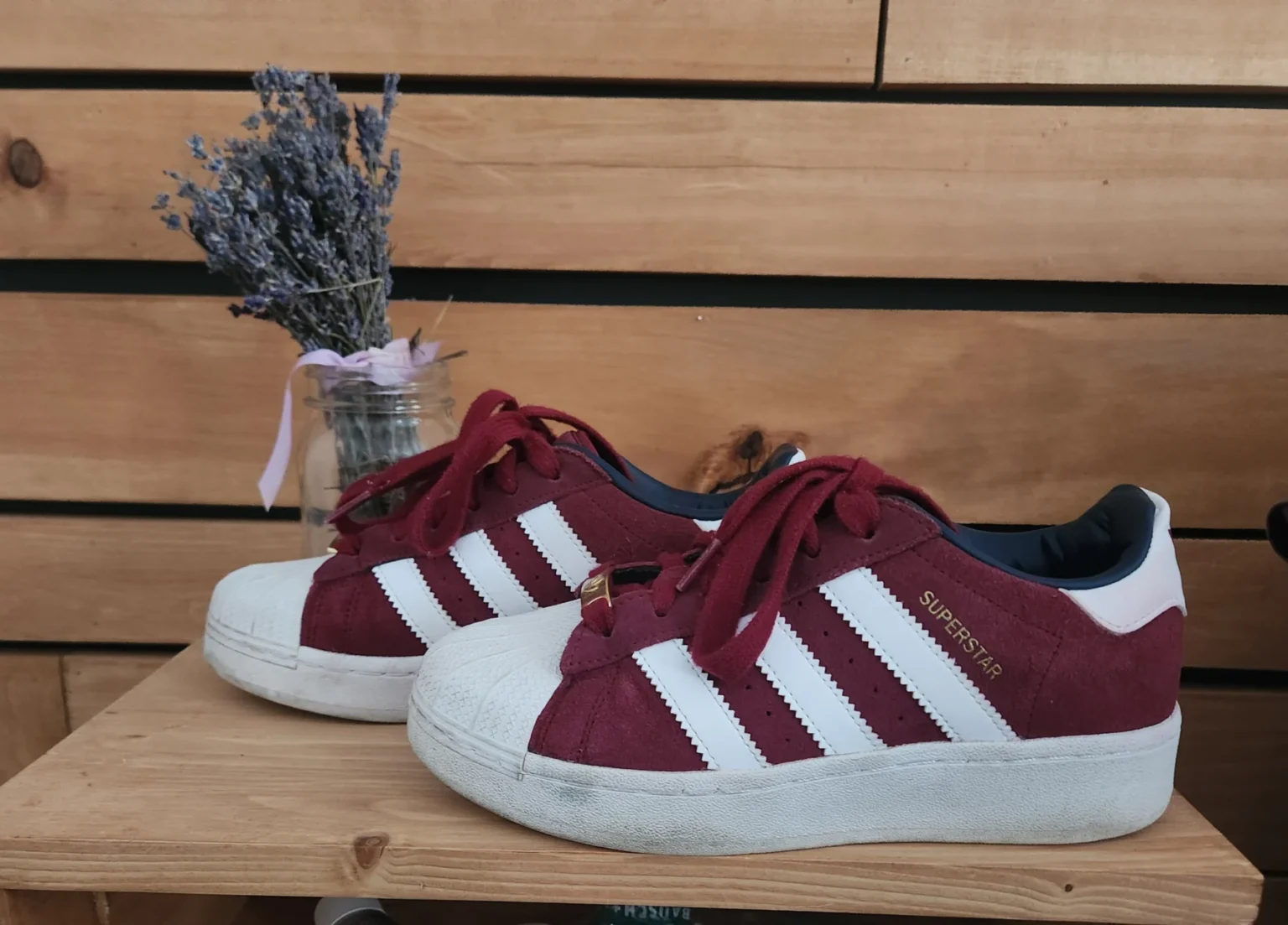 Featured image for Chaussures superstar adidas
