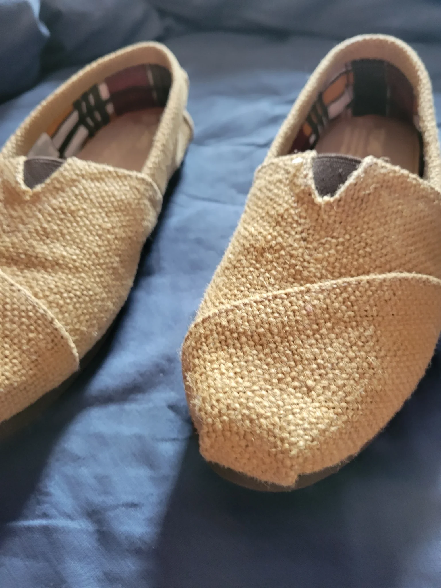 Image for Toms - souliers pour enfant - taille 5