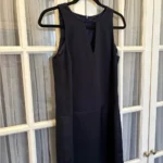 Featured thumbnail for Banana Republic midnight blue short dress