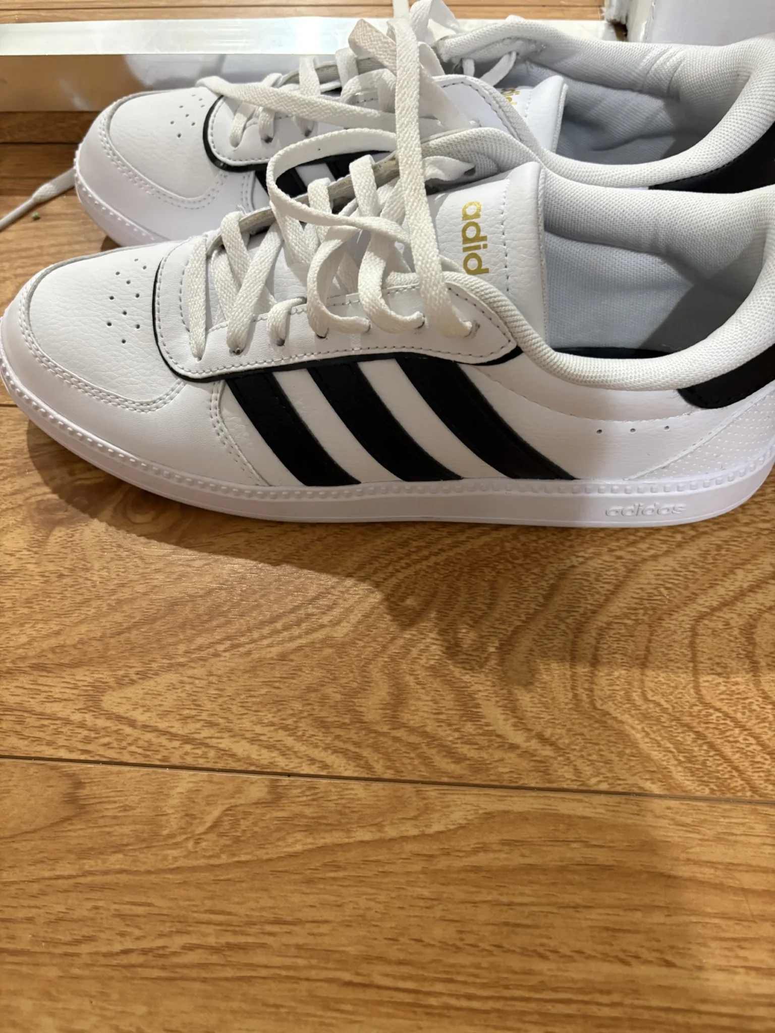 Featured image for Basket Addidas