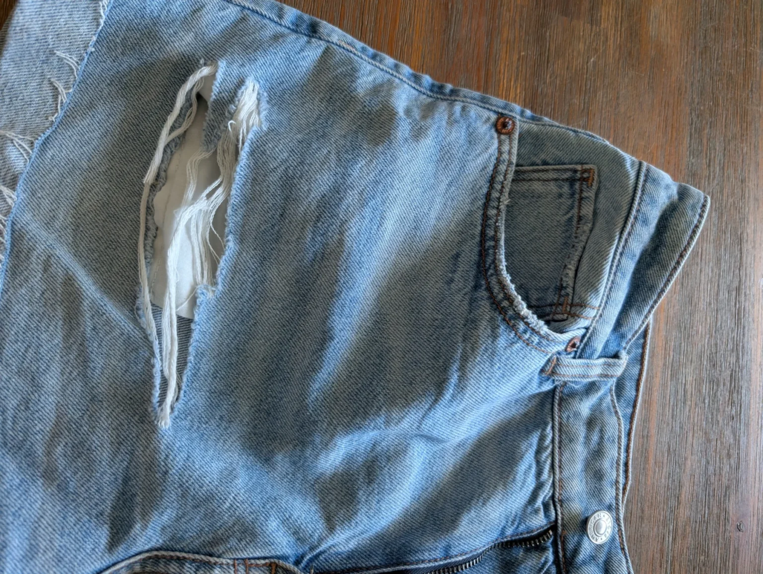 Image for Short American eagle