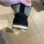 Thumbnail for Basket Vans