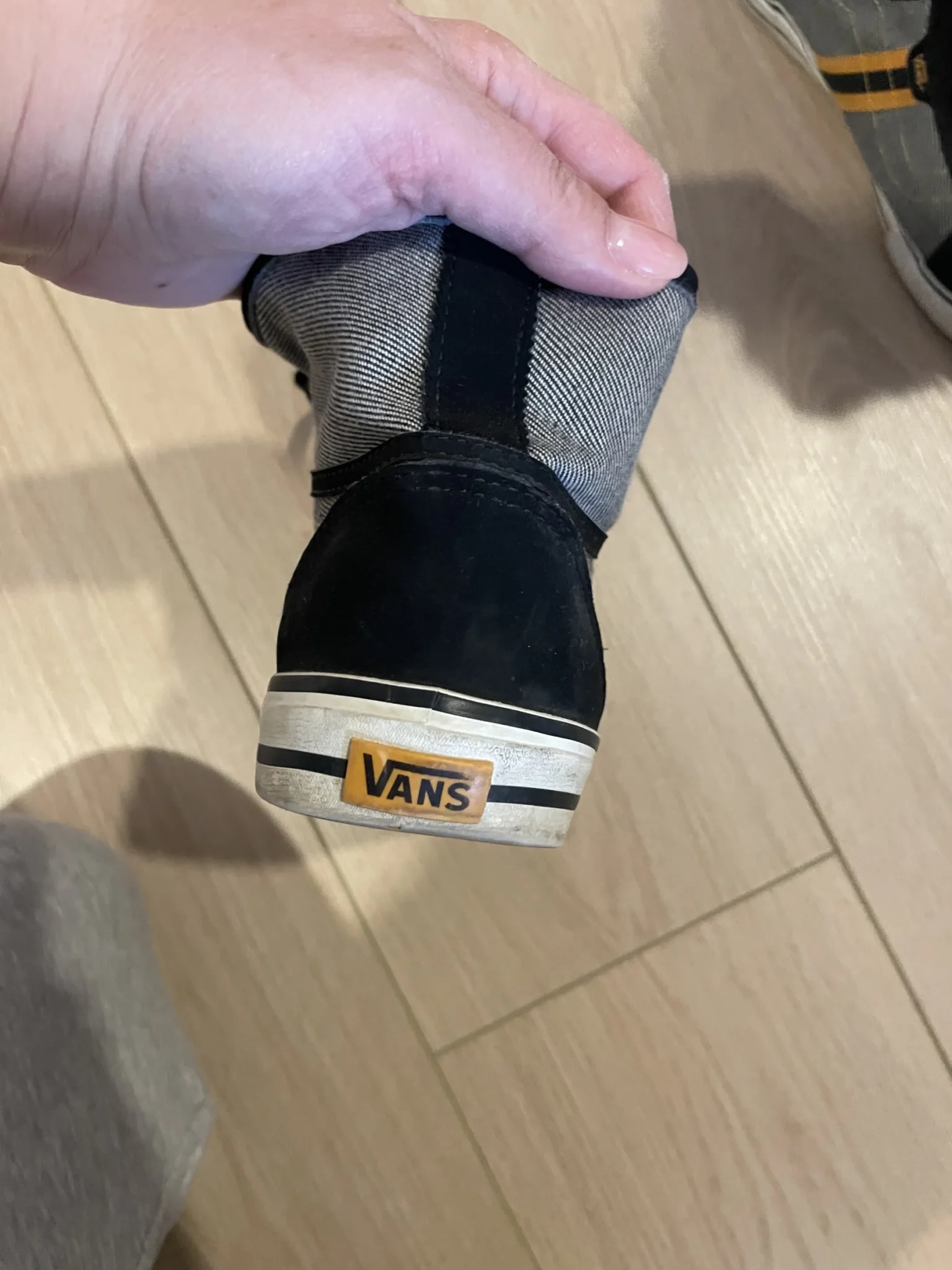Image for Basket Vans