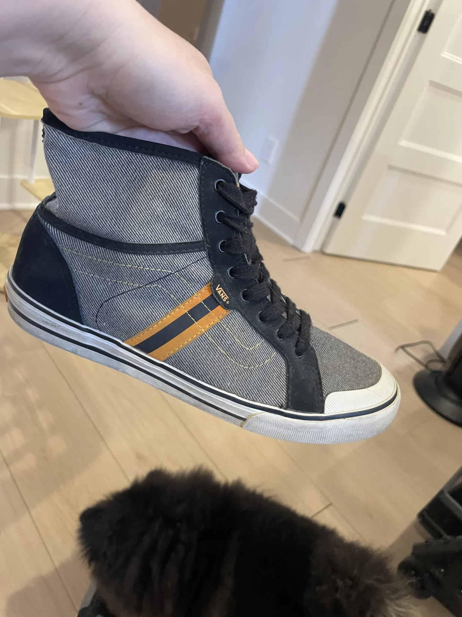 Image for Basket Vans