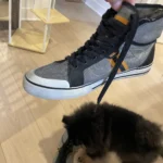 Thumbnail for Basket Vans