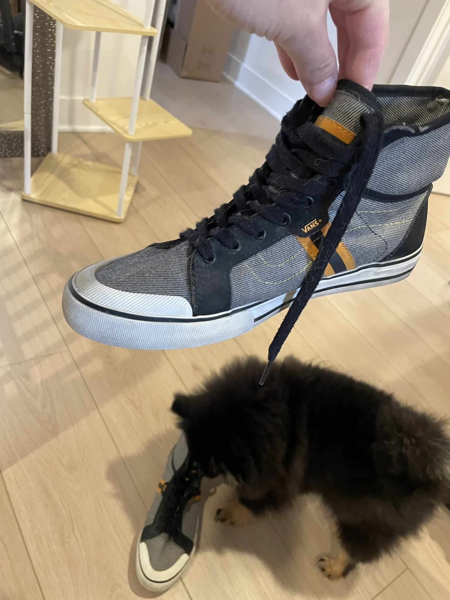 Image for Basket Vans