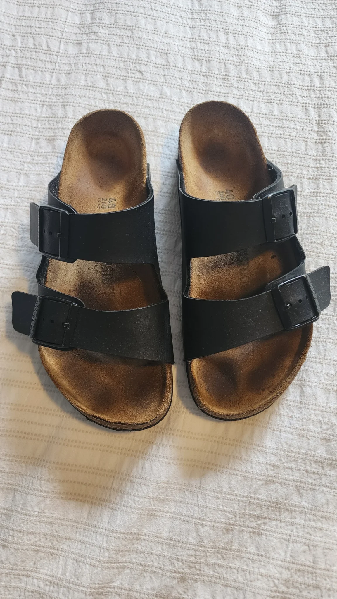 Featured image for Birkenstock 40
