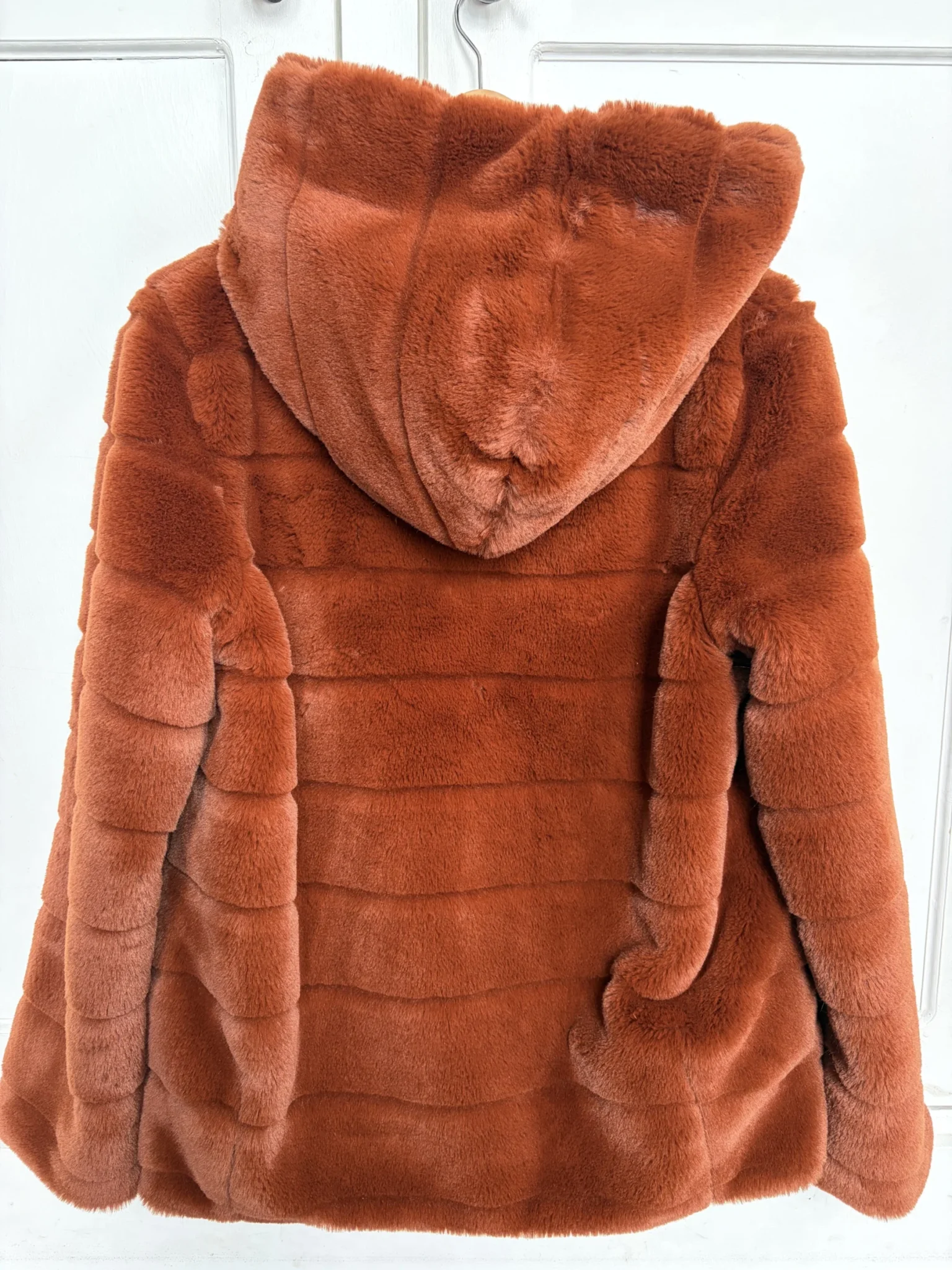 Image for The softest coat on earth