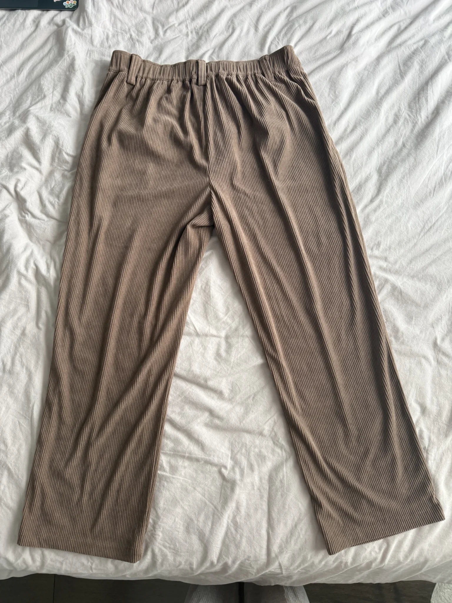 Image for Pantalon Halara brun côtelé