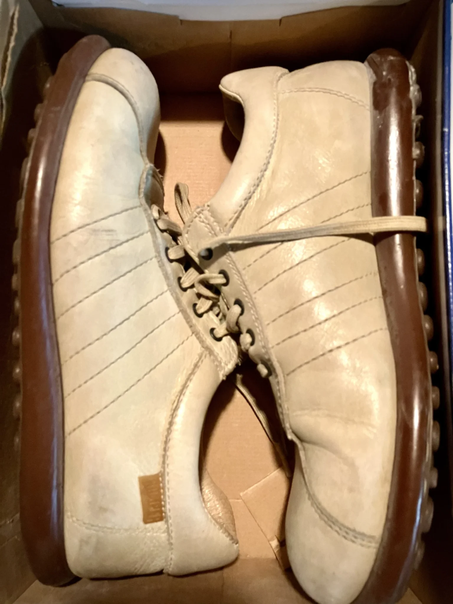 Image for Camper Pelota