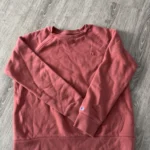 Featured thumbnail for Champion hoddie