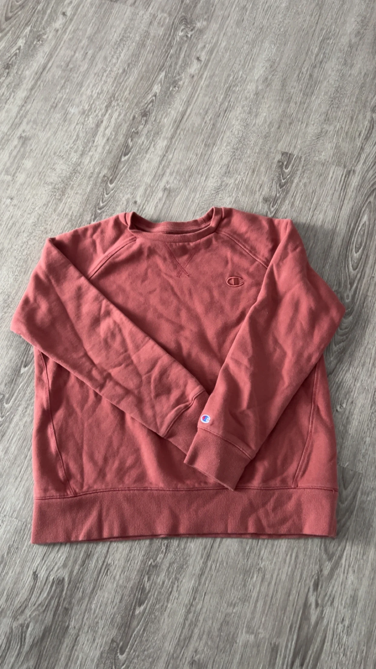 Champion hoddie Champion seconde main