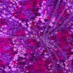 Thumbnail for Buffbunny legging