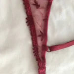 Thumbnail for Soutien Gorge Chantelle 85A rouge foncé