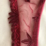 Thumbnail for Soutien Gorge Chantelle 85A rouge foncé