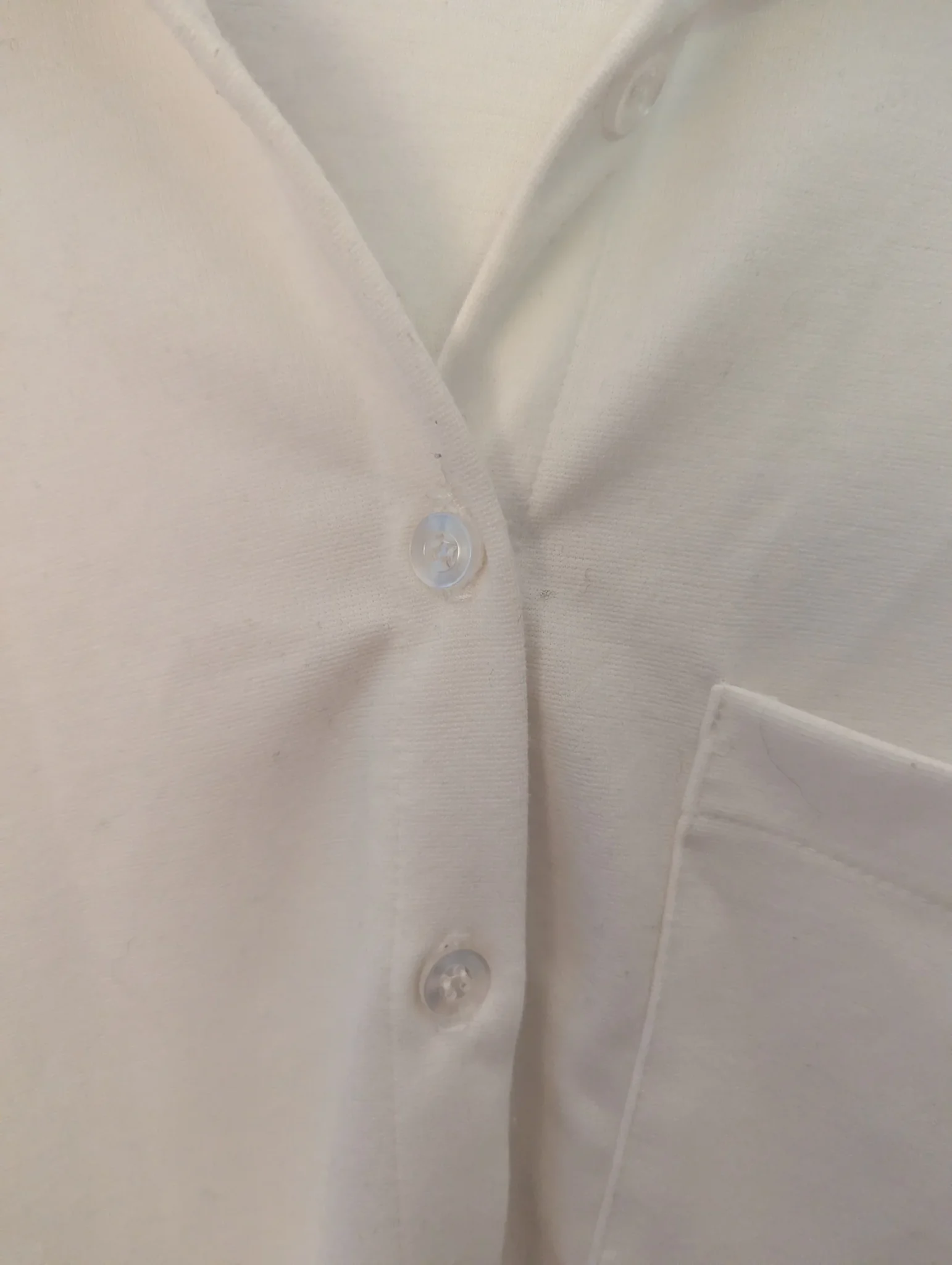 Image for Chemise Dailystory