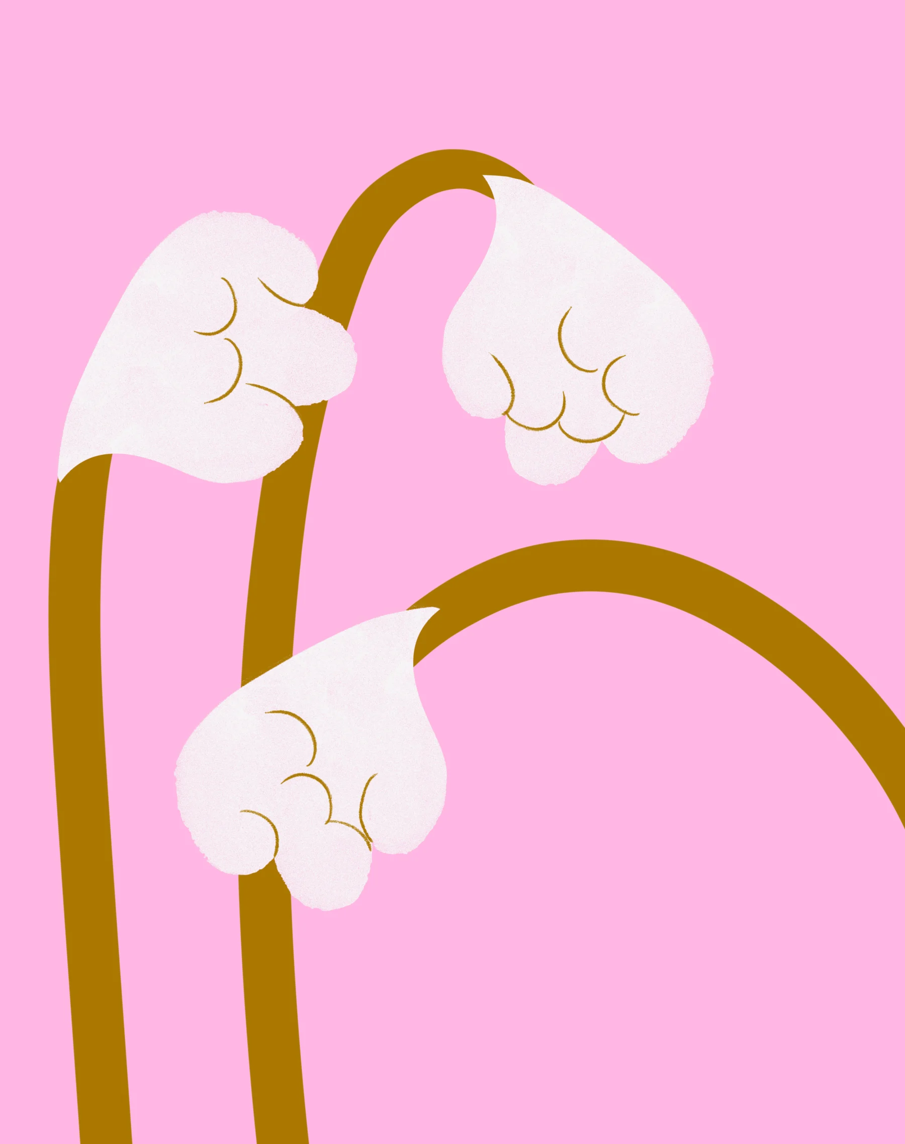 The store banner image for the store named Clodita.